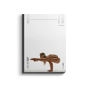One 11 magazine cover with jesse golden in a yoga pose on a white background